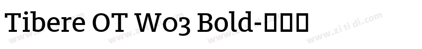 Tibere OT W03 Bold字体转换